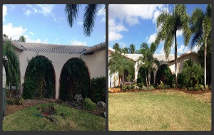 landscaping repair services boca raton