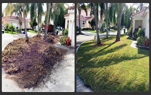 new lawn installation boca raton fl